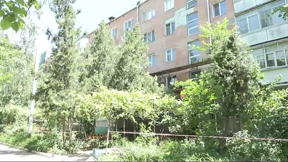 ������ �����������: � ���������� ������������ ����������� ������ ������ ���������������� ���� �� ��������� 50-����� ������