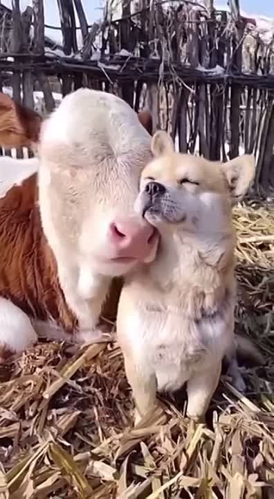������ ����, ������!. ����� �����������! �������������� ��