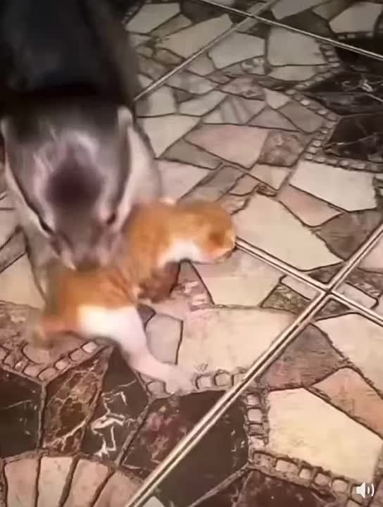 ��������� ����!