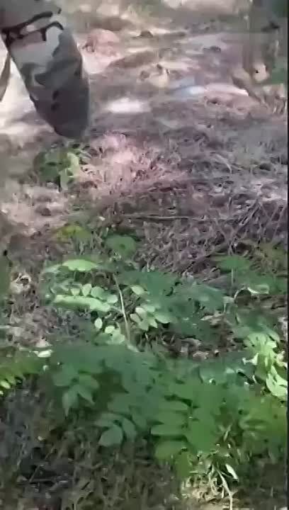 ��� ��������� ����� � ���� ������������ �������