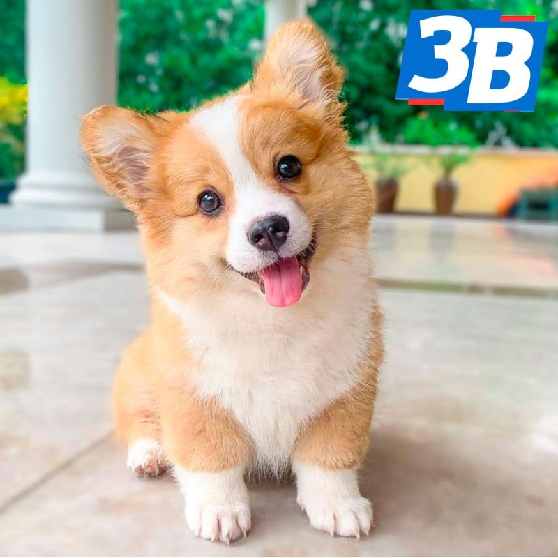 4 ���� � ������������� ���� �����