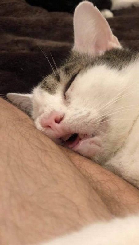 ��: �� �a��� ��a�����, ����a �����