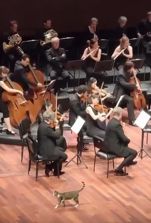 ��� ������ ��������� ��������� �� ������������ ����������� ���������