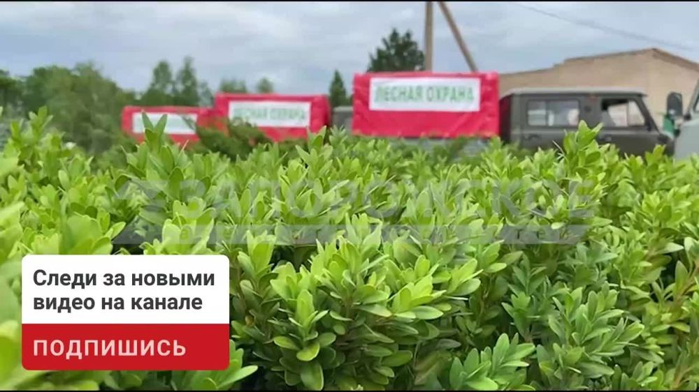 ����� �������������� ��������� ��� ������� ������� ��������� � ����������� �������