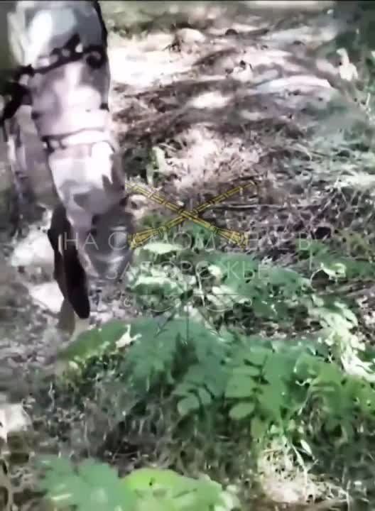 � ���� ��� ��������, �� ���� ������� ������� ���