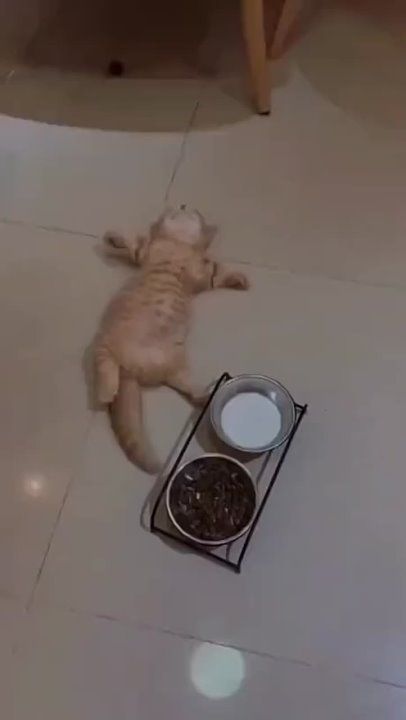 ����!. ��������� ��������!! �������������� ��