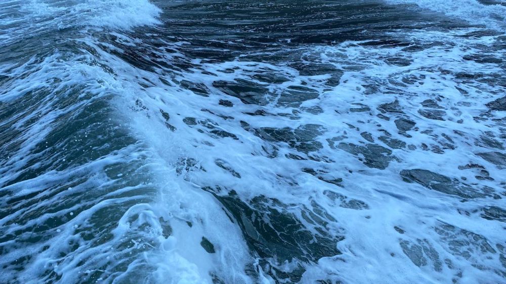 Рыболовные предприятия Крыма и Севастополя получат господдержку