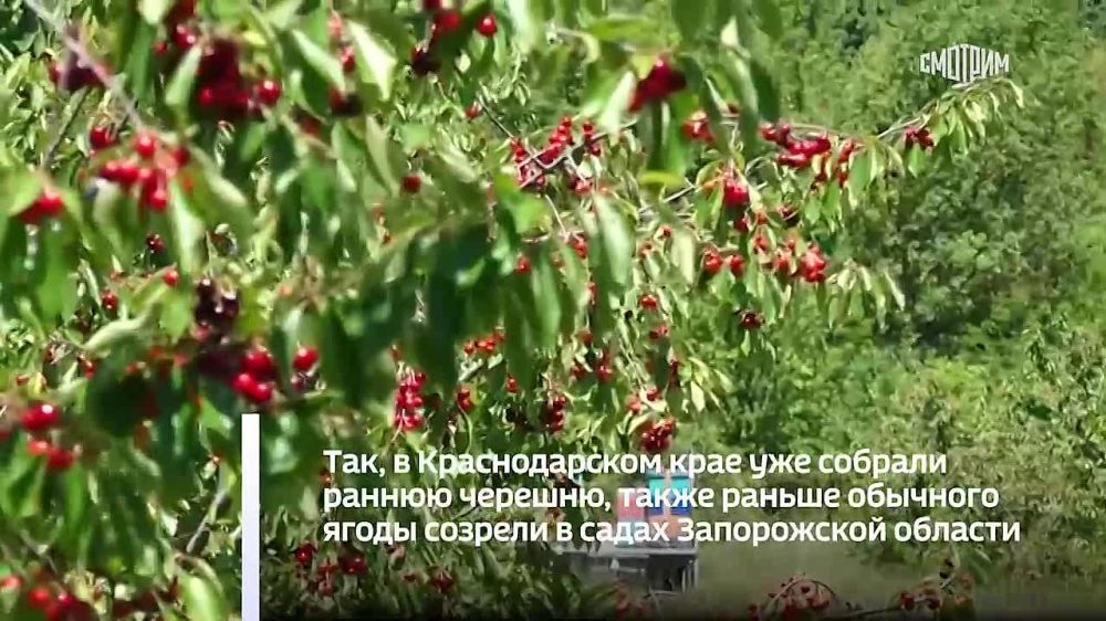 � ����������� ������� ������ �������� ��������� ���� ������� � ���� ������ �������������� ������ ��������� ����� �� 30% ���� �������������