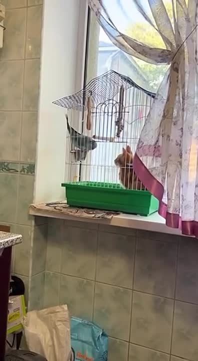 ����� �� � �� �����. �������������� ��