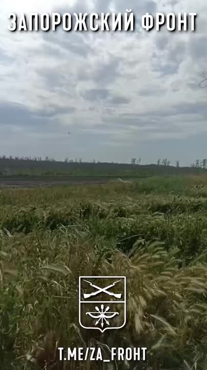 ���� ������� ���� � ������������ �����������
