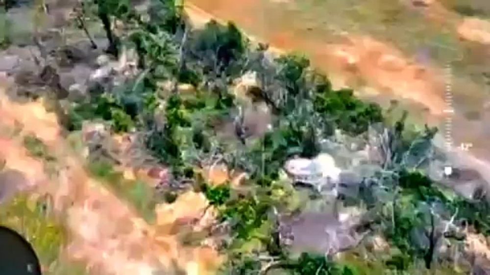 ������� �������: ���������� ����������� �����������