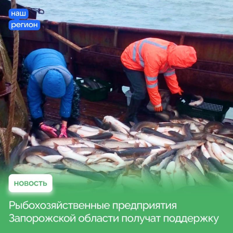 Правительство поддержит рыбохозяйственный промысел в Азовском море