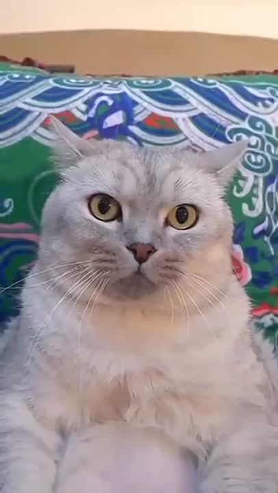 ����!. ��������� ��������!! �������������� ��