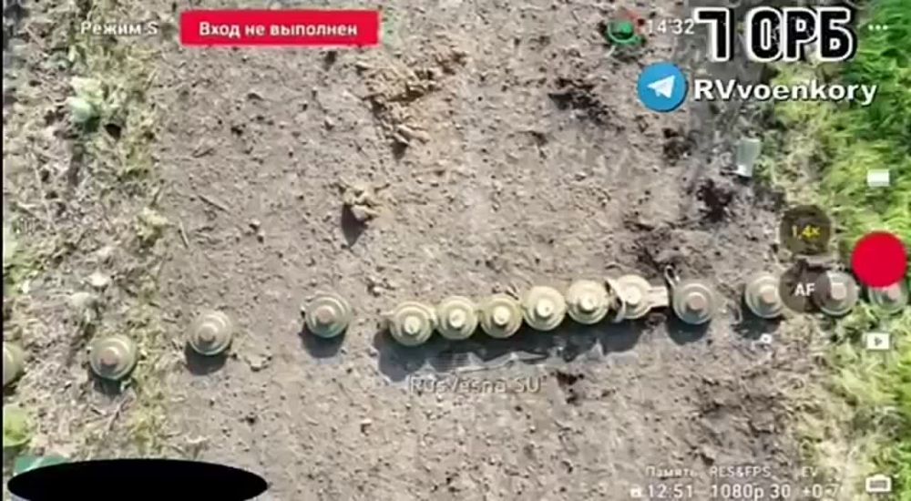 ���� 47 �������� ���������� ��������� �� ������ �������� �� ������ � �������� ����������� �� ��������� �����������
