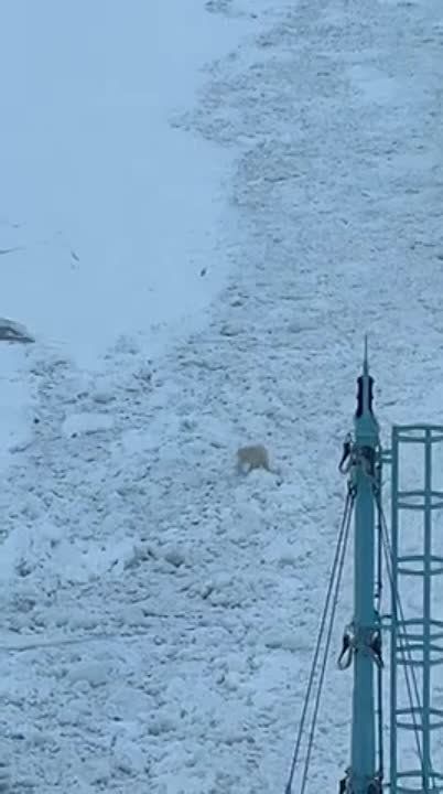 �������� �������� �������� �������� ������ �������� �������