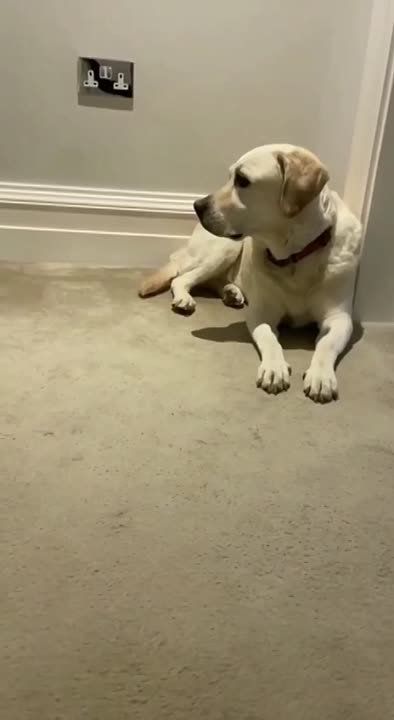 ������, ������� ���������