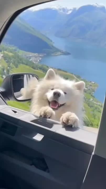 ������ ����!