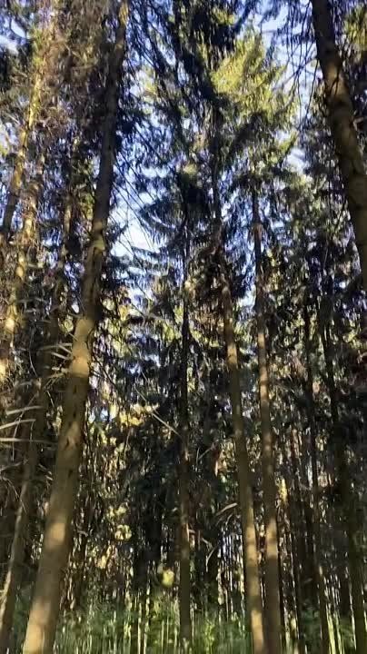 ����� ���������� � ��������!