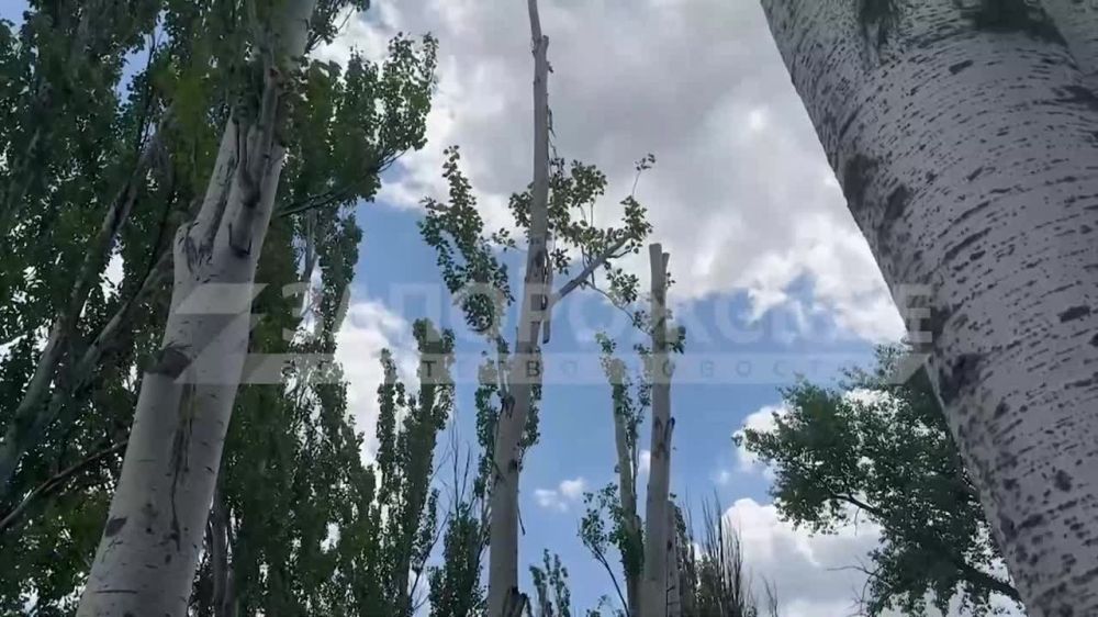 � ���������� ������������ ������ ������� ��������� � ������� ������, ������� ������� ��������