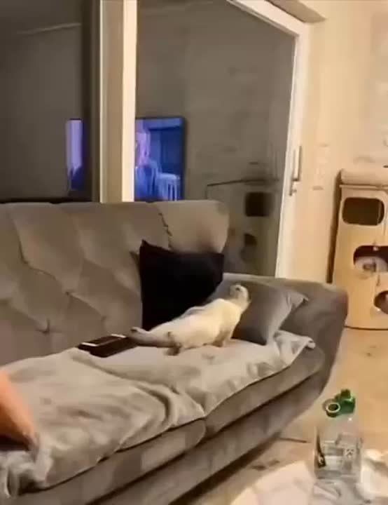 ��������� �������� � �����, ������ ��������