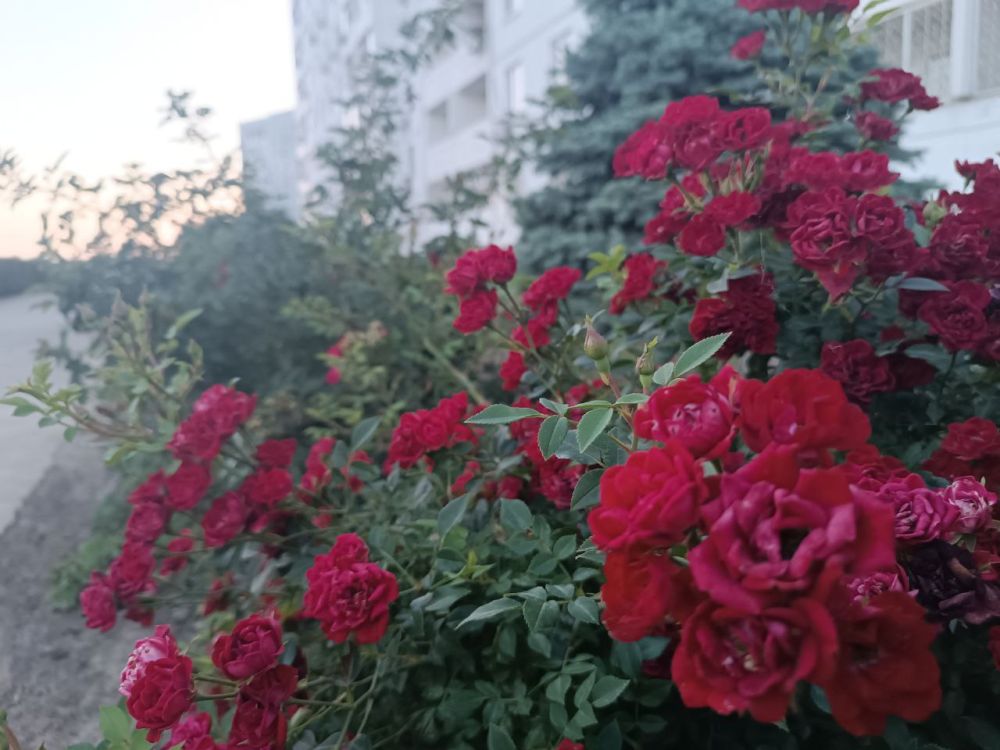 8 ���� - ���� ����������� ���������!
