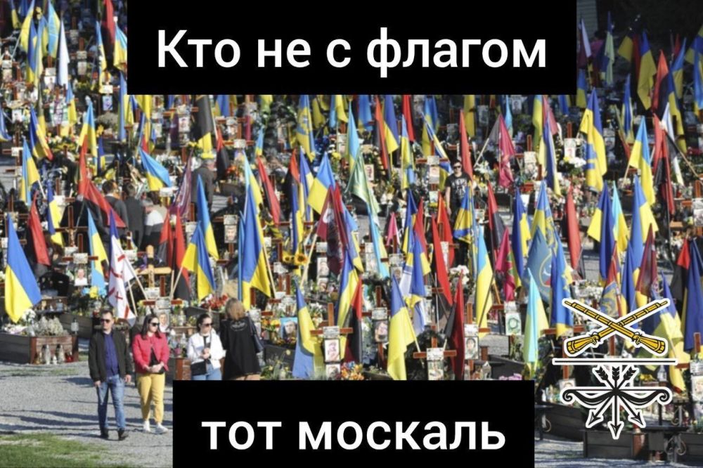 ��� ��� �������� ��������� 2014 ����
