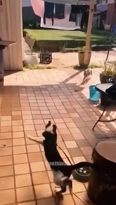 ������ ���� !