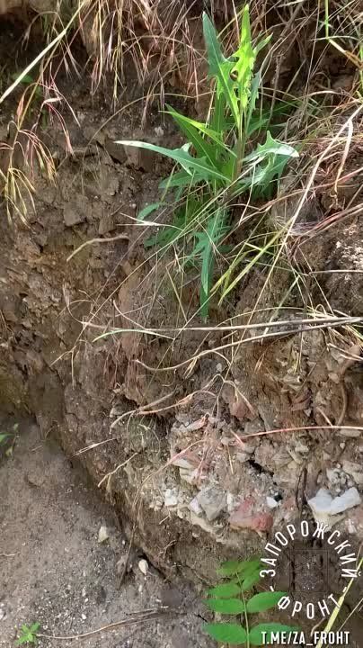 ����� �����: ���� ���������� �� ����������� ����������� ���������� �� ������ �������� ���������� ����������� ���������