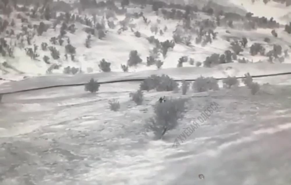 �� ������� � �������� ������� ������������ ������� ���� ��������, ������� ���������� � ������