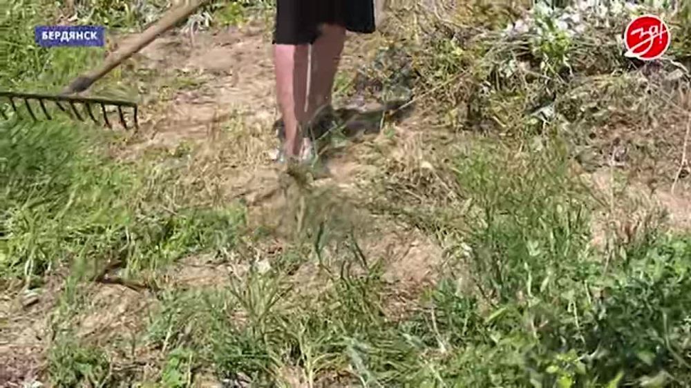 ������� �����: �������� ������� ���������������� � ������������ ���������� ������
