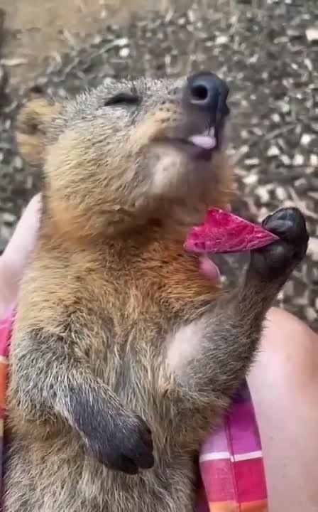 ������ ����!
