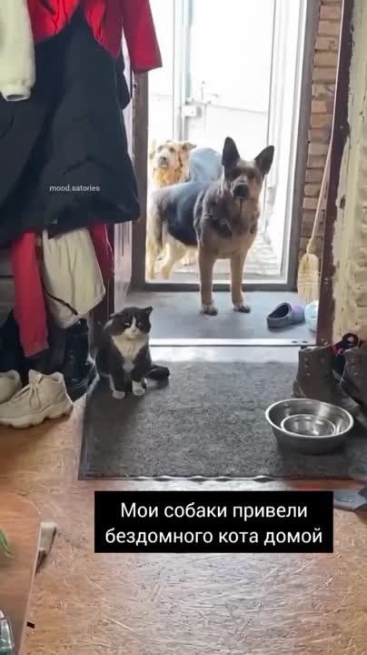 ������ ������� ����� ���������� ����