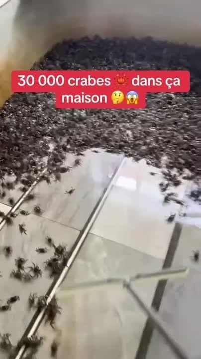 30 ����� ������ ������ �� ��� ������ �� �������