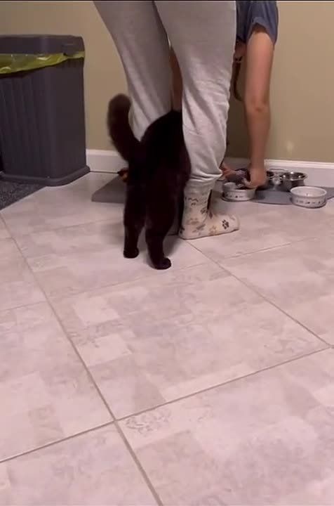 ����!. ��������� ��������!! �������������� ��