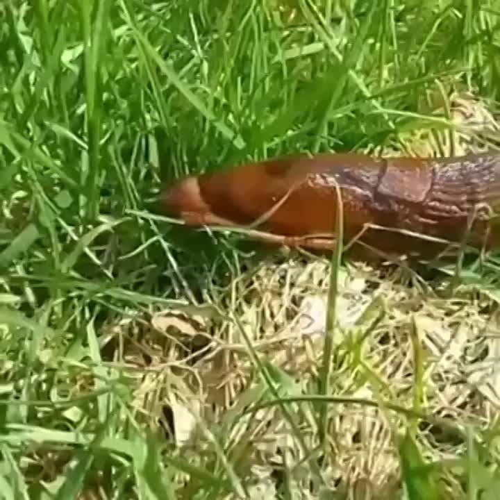 �� ���������� ������ � ������� ���������� ������� ��� �������� ��������� �������