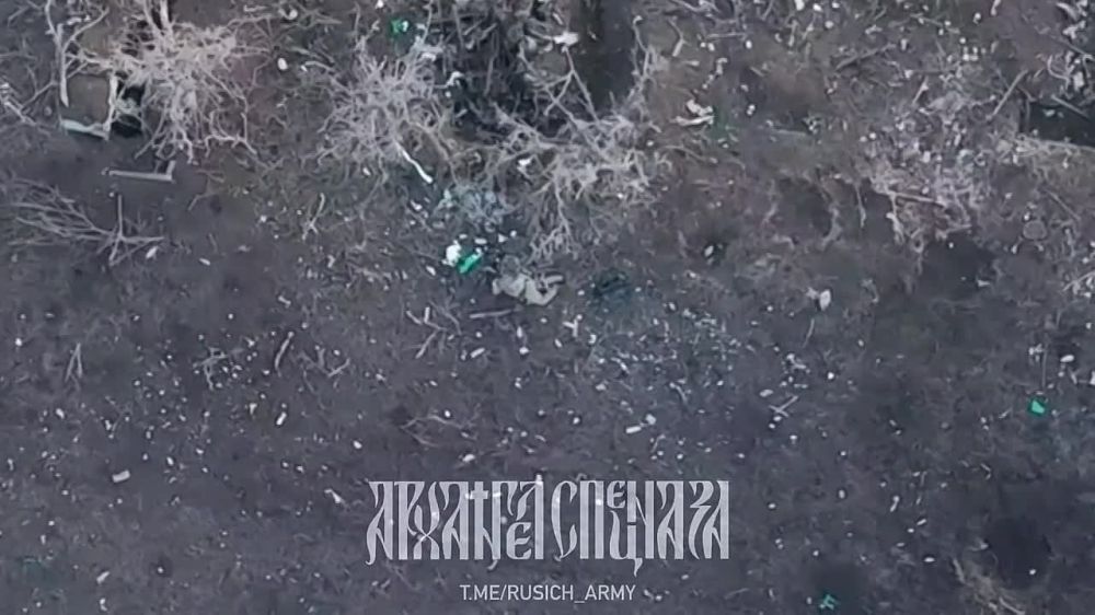 �������� �� ������: ����������� �����������