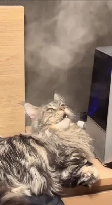 ������� �� ��� � ������ ��� ������� ������ �����