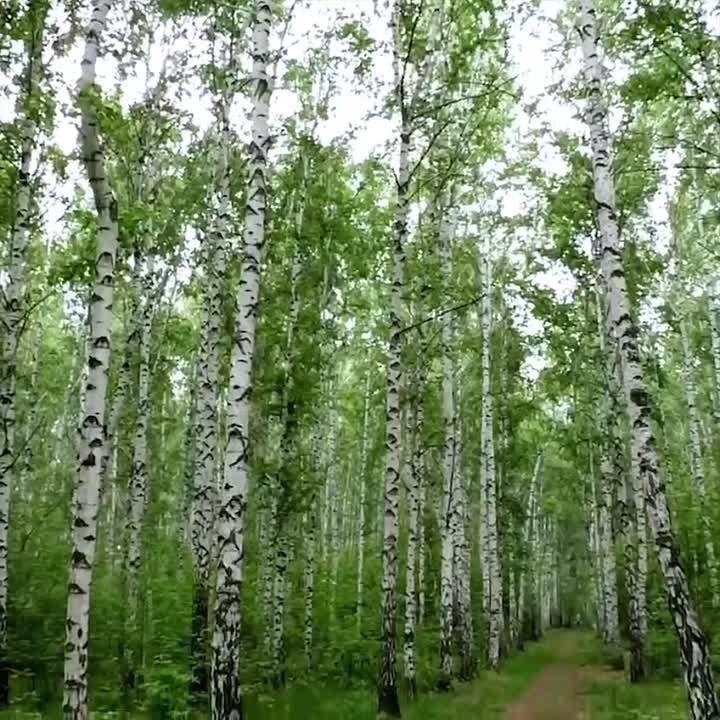 ��� ������������� ������� ������