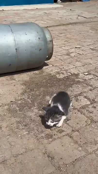 ������� ���������������: ������ � ������� ������� � �������, ������� ���������� ����� ��������� ����
