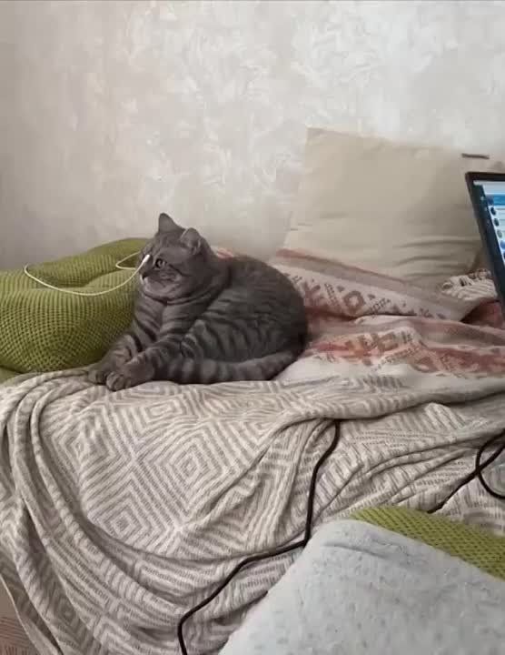 ��� ����� �� ��������� ����?