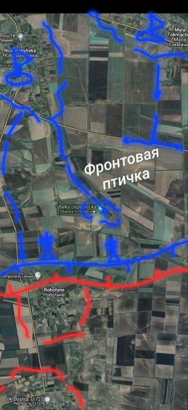 ������. ����������� �����������. ��������/��������. 13.06 08:00