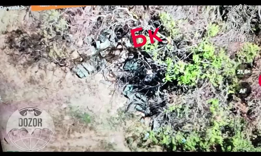 ������ ���� 291 ����� ���������� ��������������� ����� ����������� ��� �� ����������� �����������