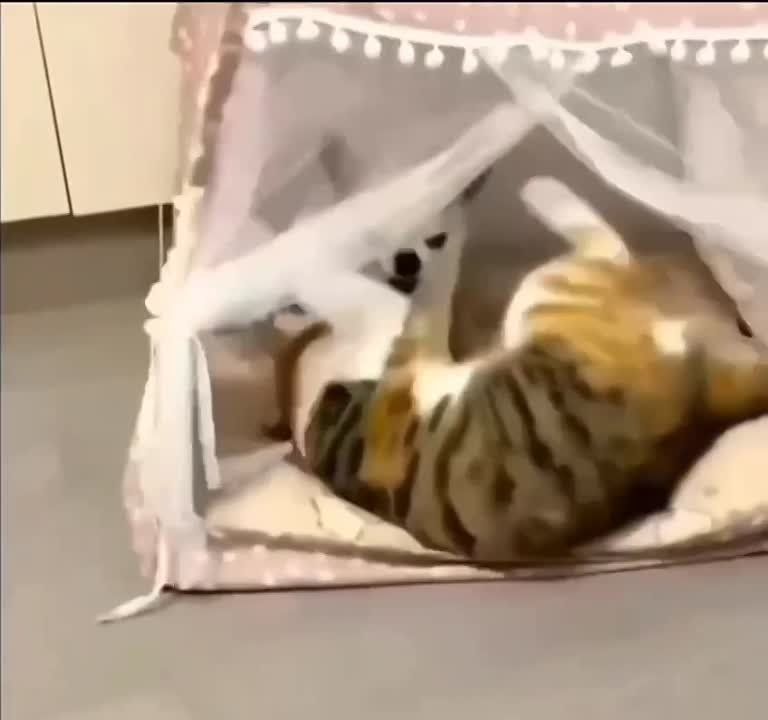 ����� �������� ��������� � ������� ��� �� ��������� �����