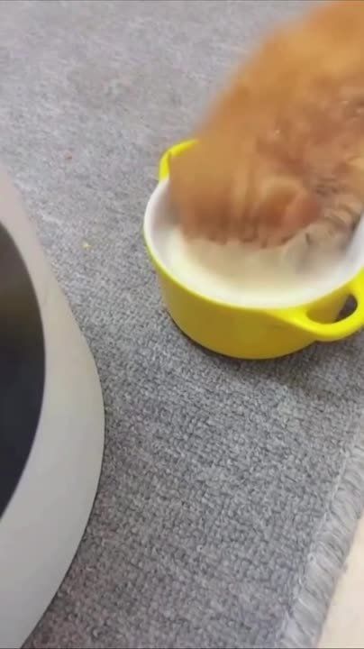����!. ��������� ��������!! �������������� ��