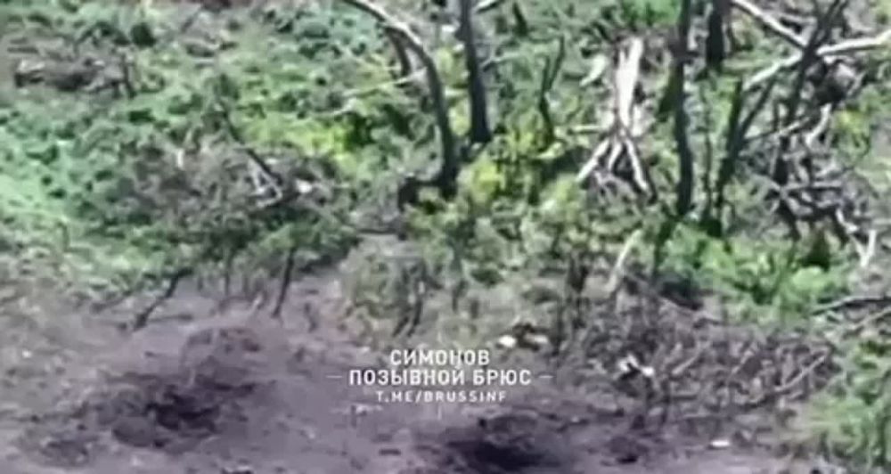 ���������� ������ �������� ����� FPV-�������