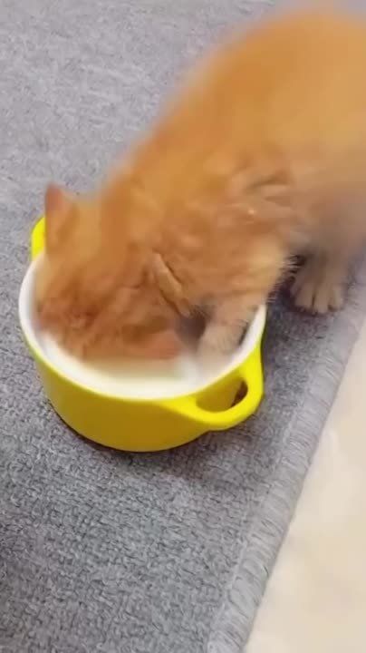 �� �� ��, ����� �������