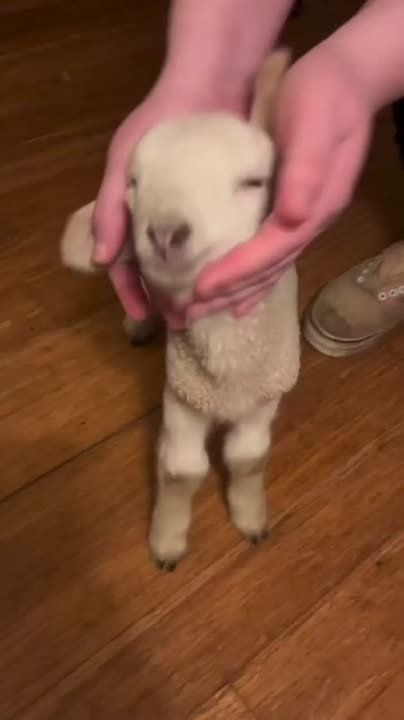 ������ ����, ������!. ����� �����������! �������������� ��