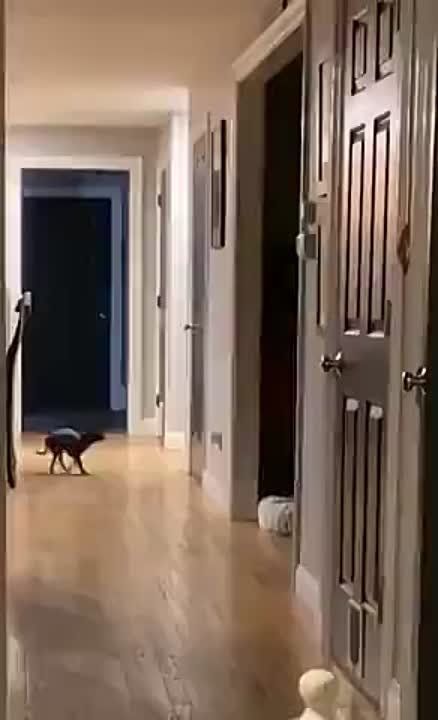 ��� � ������� � ����� ������� ������