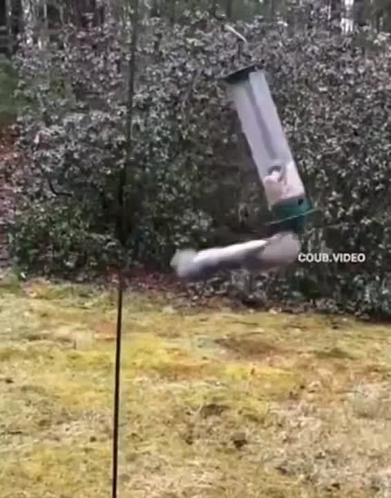 � ������ �����, ��������!