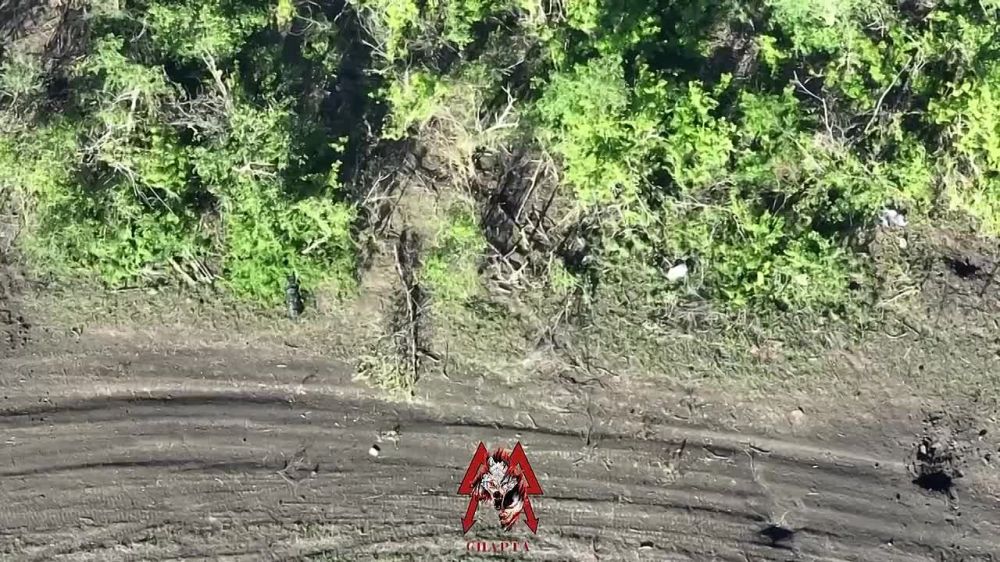 ������ FPV ���������� �� ���������� ����������������� ��������� "������" ���������������� ��������� �� ���������� � �������� ���